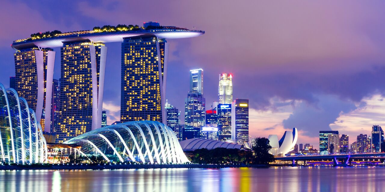 Singapore Touristvisa (Traveldocument)